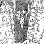 Doton: Doryuu Katsu