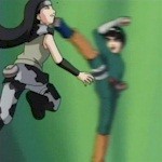 taijutsu