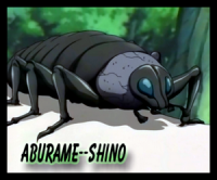 Aburame klan